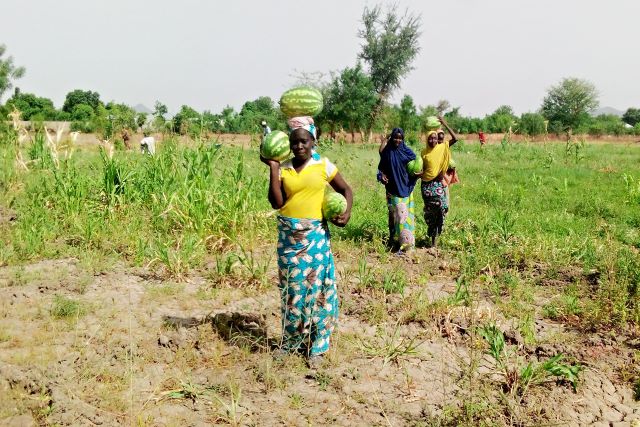 Prés de 2.7 millions de personnes en insècurité alimentaire et nutritionnelle au Cameroun